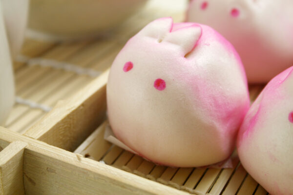 _mg_1269 兔包(素)