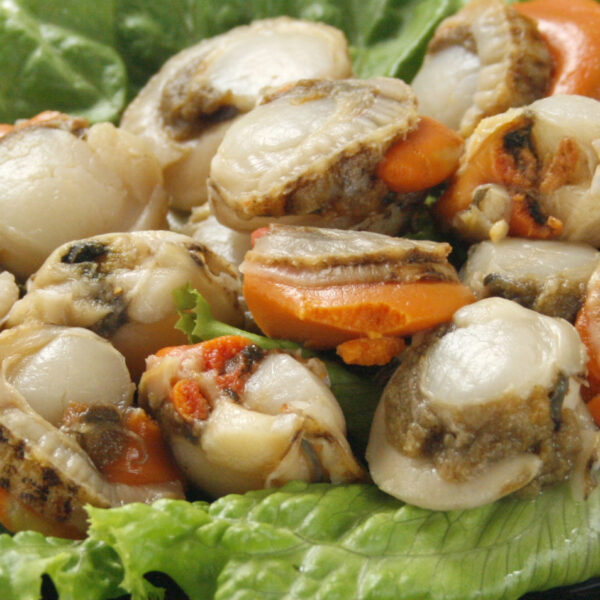 _mg_4536-2 帆立貝