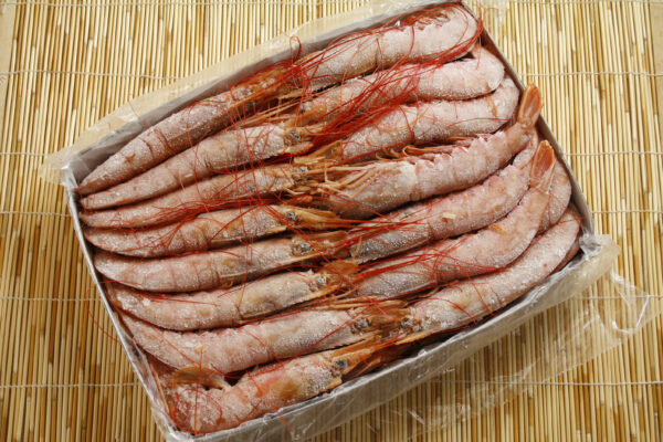 天使紅蝦