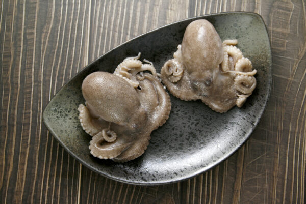 _mg_5690 澎湖石鮔