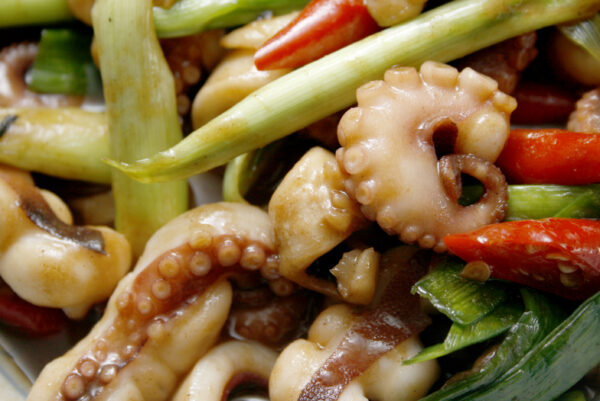 _mg_5704 澎湖石鮔