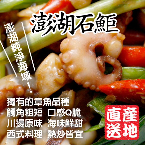 美工小圖2 澎湖石鮔